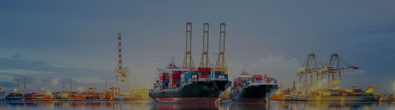 CUSTOMIZED SEA FREIGHT SOLUTIONS